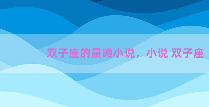 双子座的晨曦小说，小说 双子座
